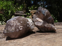 Natural Large Morion Smokey Quartz Crystals x 2 From Melanje, Malawi - TopRock