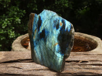 Polished One Side Polished Labradorite Slices  x 6 From Tulear, Madagascar - TopRock