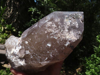 Natural Large Morion Smokey Quartz Crystals x 2 From Melanje, Malawi - TopRock