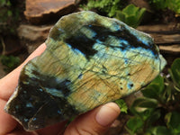 Polished One Side Polished Labradorite Slices  x 6 From Tulear, Madagascar - TopRock