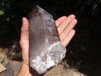 Natural Large Morion Smokey Quartz Crystals x 2 From Melanje, Malawi - TopRock