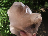 Natural Large Morion Smokey Quartz Crystals x 2 From Melanje, Malawi - TopRock