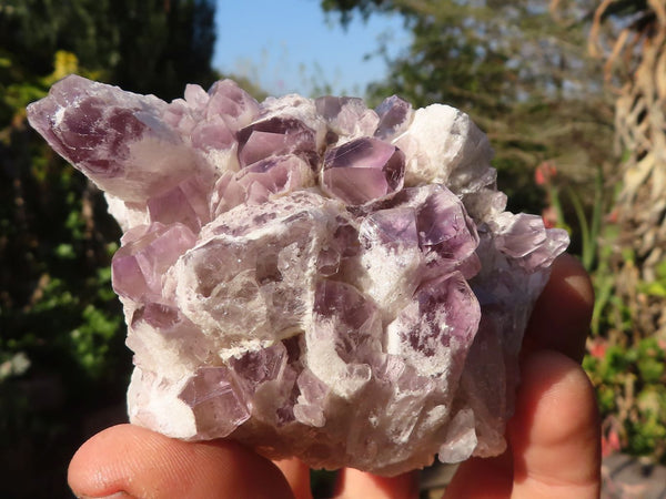 Natural Sugar Amethyst Clusters  x 6 From Solwezi, Zambia