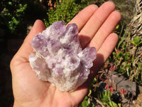 Natural Sugar Amethyst Clusters  x 6 From Solwezi, Zambia