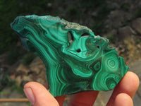 Polished Beautiful Flower & Banded Malachite Slices x 6 From Congo - TopRock
