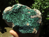 Natural Crystalline Malachite Specimens  x 2 From Tenke Fungurume, Congo - TopRock