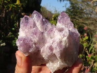 Natural Sugar Amethyst Clusters  x 6 From Solwezi, Zambia