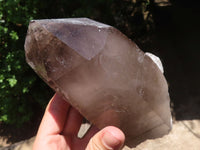 Natural Large Morion Smokey Quartz Crystals x 2 From Melanje, Malawi - TopRock