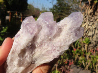 Natural Sugar Amethyst Clusters  x 6 From Solwezi, Zambia