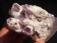 Natural Sugar Amethyst Clusters  x 6 From Solwezi, Zambia