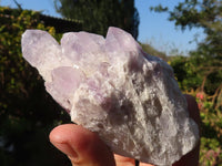 Natural Sugar Amethyst Clusters  x 6 From Solwezi, Zambia