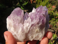 Natural Sugar Amethyst Clusters  x 6 From Solwezi, Zambia