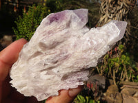 Natural Sugar Amethyst Clusters  x 6 From Solwezi, Zambia