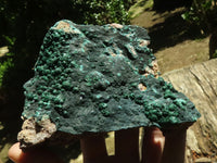 Natural Crystalline Malachite Specimens  x 2 From Tenke Fungurume, Congo - TopRock