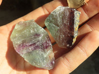 Natural Rough Watermelon Fluorite Cobbed Specimens  x 70 From Uis, Namibia