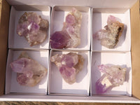 Natural Jacaranda Amethyst Clusters  x 6 From Mumbwa, Zambia - Toprock Gemstones and Minerals 