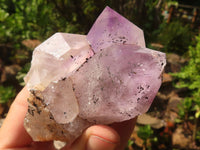 Natural Jacaranda Amethyst Clusters  x 6 From Mumbwa, Zambia - Toprock Gemstones and Minerals 