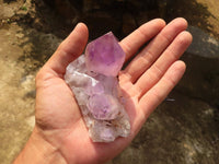 Natural Jacaranda Amethyst Clusters  x 6 From Mumbwa, Zambia - Toprock Gemstones and Minerals 