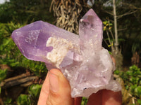 Natural Jacaranda Amethyst Clusters  x 6 From Mumbwa, Zambia - Toprock Gemstones and Minerals 