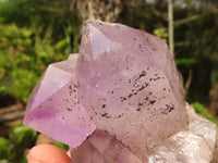 Natural Jacaranda Amethyst Clusters  x 6 From Mumbwa, Zambia - Toprock Gemstones and Minerals 