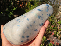 Polished Blue Spotted Spinel Quartz Standing Free Form x 1 From Madagascar