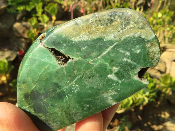 Polished New Green Chrysoprase Free Forms  x 12 From Namibia