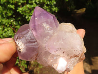 Natural Jacaranda Amethyst Clusters  x 6 From Mumbwa, Zambia - Toprock Gemstones and Minerals 