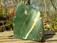 Polished New Green Chrysoprase Free Forms  x 12 From Namibia