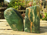 Polished New Green Chrysoprase Free Forms  x 12 From Namibia