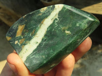 Polished New Green Chrysoprase Free Forms  x 12 From Namibia