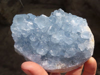 Natural Blue Celestite Crystal Specimens  x 2 From Sakoany, Madagascar - Toprock Gemstones and Minerals 