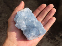 Natural Blue Celestite Crystal Specimens  x 2 From Sakoany, Madagascar - Toprock Gemstones and Minerals 