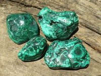 Polished Malachite Free Forms With Stunning Flower & Banding Patterns x 4 From Congo - TopRock