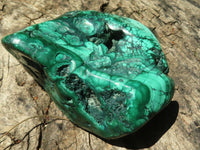 Polished Malachite Free Forms With Stunning Flower & Banding Patterns x 4 From Congo - TopRock