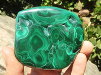 Polished Malachite Free Forms With Stunning Flower & Banding Patterns x 4 From Congo - TopRock