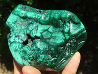 Polished Malachite Free Forms With Stunning Flower & Banding Patterns x 4 From Congo - TopRock