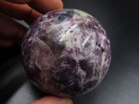 Polished Purple Lepidolite Spheres x 4 From Madagascar - TopRock