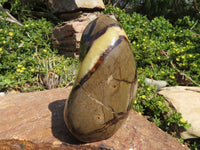 Polished Septerye Standing Free Form x 1 From Mahajanga, Madagascar - TopRock