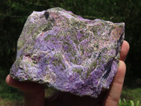 Natural Rare Stichtite Specimens With Green Serpentine x 2 From Barberton, South Africa - TopRock