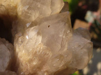 Natural Cascading Smokey Quartz Clusters x 2 From Luena, Congo