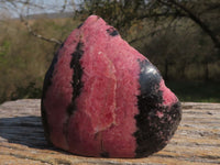 Polished Deep Pink & Black Rhodonite Free Forms (Half Polished) x 4 From Ambindavato, Madagascar - TopRock