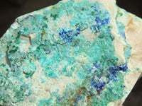 Natural Azurite & Malachite On Dolomite Specimens  x 35 From Kaokoveld, Namibia - Toprock Gemstones and Minerals 