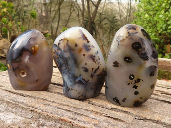 Polished Gorgeous Dendritic Agate Standing Free Forms  x 3 From Madagascar