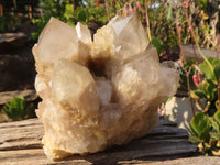 Natural Cascading Smokey Quartz Clusters x 2 From Luena, Congo