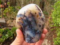 Polished Gorgeous Dendritic Agate Standing Free Forms  x 3 From Madagascar