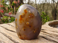 Polished Gorgeous Dendritic Agate Standing Free Forms  x 3 From Madagascar