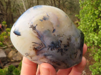 Polished Gorgeous Dendritic Agate Standing Free Forms  x 3 From Madagascar