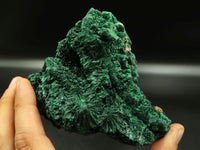 Natural Fibrous Silky Malachite Specimens x 2 From Kasompe, Congo - TopRock