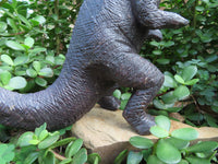 Polished  Ornithischian Dinosaur Carving x 1 From Zimbabwe - TopRock