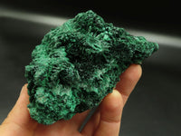 Natural Fibrous Silky Malachite Specimens x 2 From Kasompe, Congo - TopRock